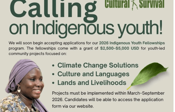 Call for Proposals: 2026 Indigenous Youth Fellowship