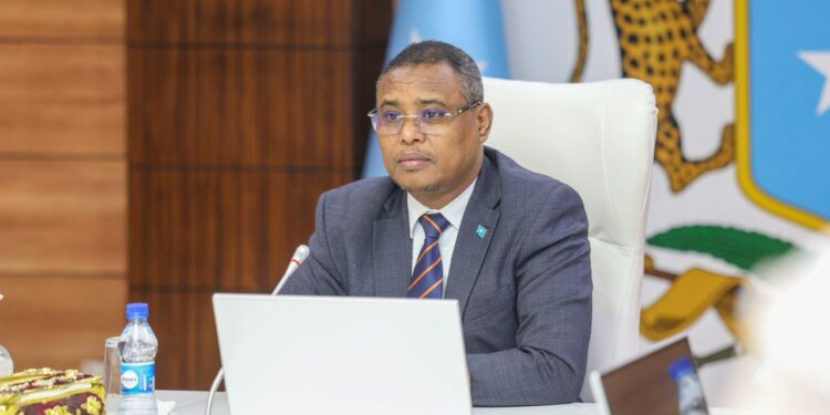 Somalia:  Cabinet Approves Three Education and Research Agreements