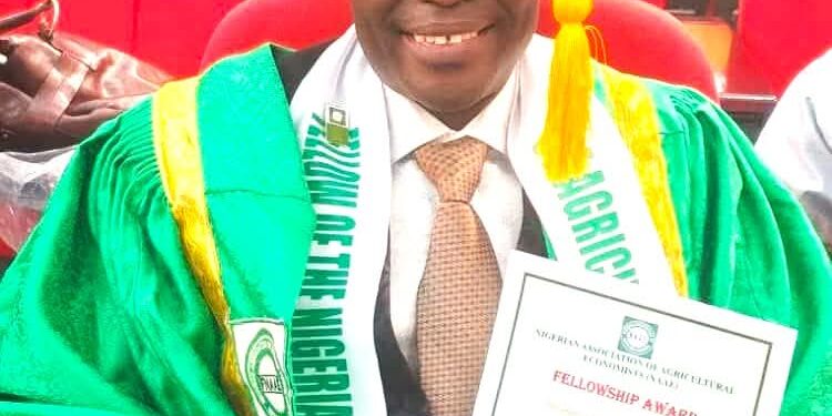 Deputy Vice Chancellor, Professor Taiwo Amos, bags fellowship of the Nigerian Association of Agricultural Economists