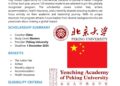 Yenching Academy Scholarship 2026/27