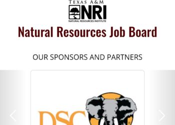 Fully Funded 2026 New Mexico State University Masters Scholarship Opens for Global Applicants