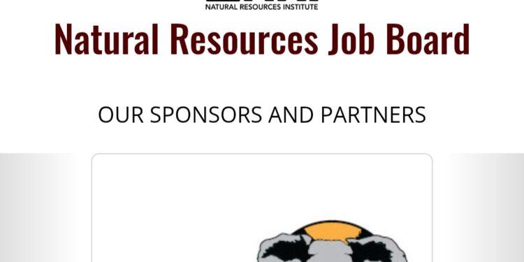 Fully Funded 2026 New Mexico State University Masters Scholarship Opens for Global Applicants