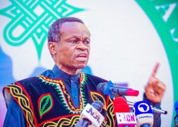 Who is Professor P.L.O. Lumumba?