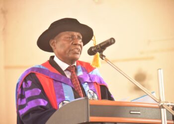 FUTA Prof Urges Use of Visual Communication to Tackle Misinformation, Build National Unity