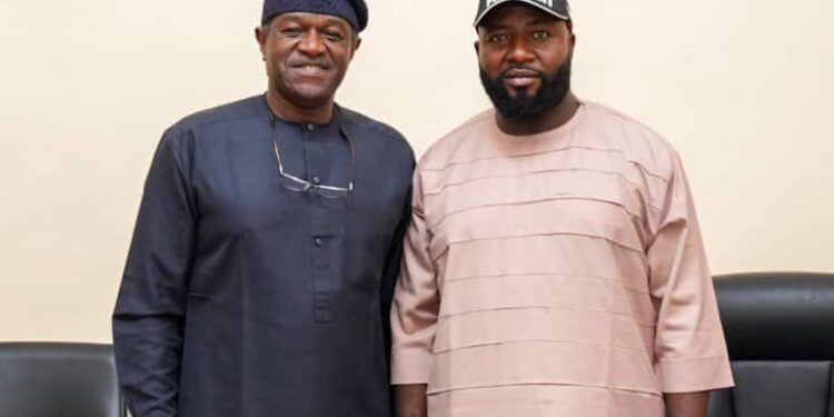 NELFUND, NANS Collaborating to endure financial sustainability of the Student Loan programme