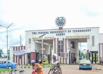 Nigeria: Over 3,000 FUTA Students Benefit from NELFUND Scheme — VC