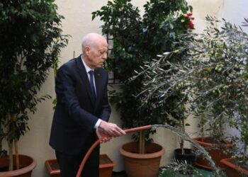 Tunisia: President Leads Tree Day Celebration, Highlights Education Reform