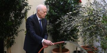 Tunisia: President Leads Tree Day Celebration, Highlights Education Reform