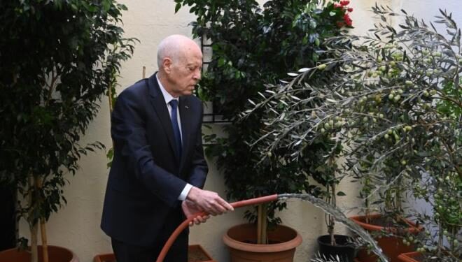 Tunisia: President Leads Tree Day Celebration, Highlights Education Reform