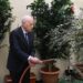 Tunisia: President Leads Tree Day Celebration, Highlights Education Reform