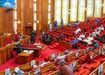 Senate Passes Bill to Regulate Informal Sector Employment, Protect Domestic Workers