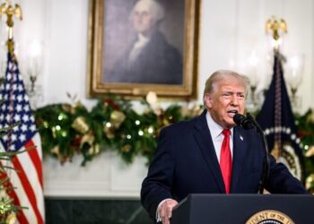 Breaking: Trump Claims US Carried Out Deadly Airstrikes on ISIS Targets in Nigeria