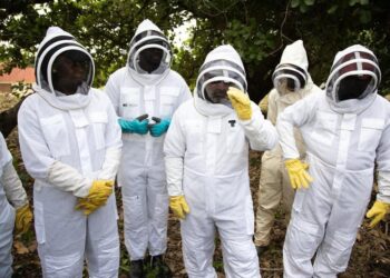 WAFROEX–FUNAAB Beekeeping Training 2.0: VC Leads Trainees Through Intensive Field Practical Session