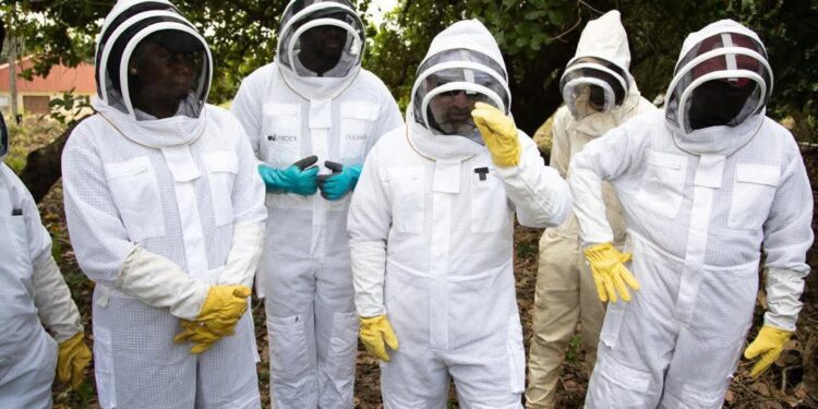 WAFROEX–FUNAAB Beekeeping Training 2.0: VC Leads Trainees Through Intensive Field Practical Session