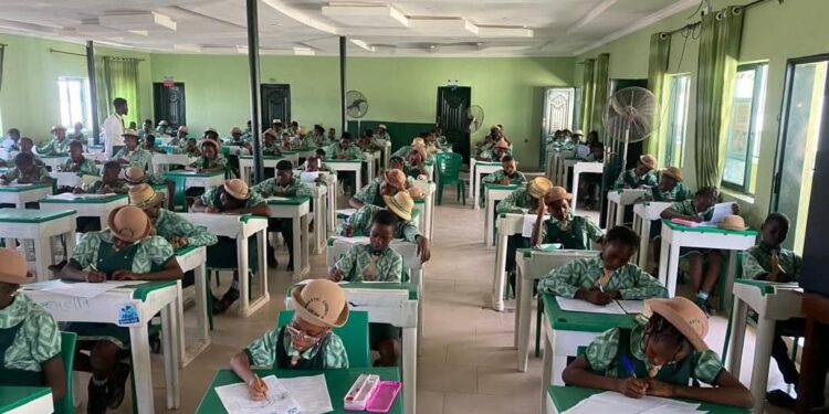 Should Nigerian School Start Teaching Ai?