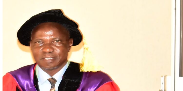 FUTA Don Urges Blending AI with Traditional Methods for Mineral Exploration