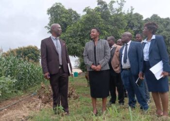 Malawi Government Pledges Support to Improve University Admissions