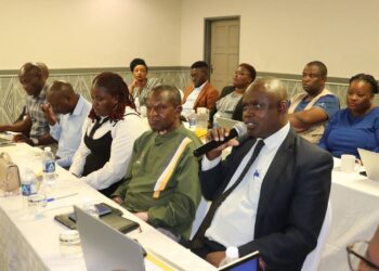 Zimbabwe: Ministry, Partners Train Master Trainers on School Readiness and Digital Early Learning Assessment