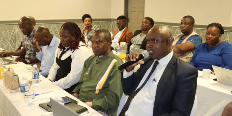 Zimbabwe: Ministry, Partners Train Master Trainers on School Readiness and Digital Early Learning Assessment