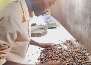 Pursue your passion. True joy comes from doing what you love