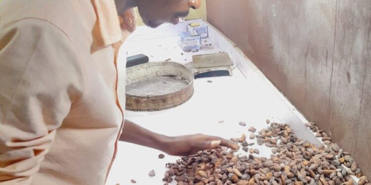 Pursue your passion. True joy comes from doing what you love