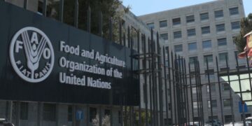 2026 FAO Internship Program (Food and Agriculture Organization) For Students Worldwide | How To Apply