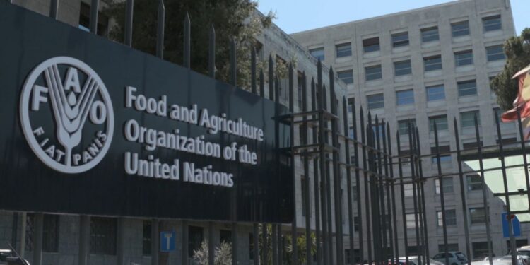 2026 FAO Internship Program (Food and Agriculture Organization) For Students Worldwide | How To Apply