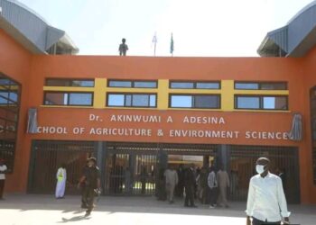 AfDB Ex-President Adesina Honoured by Gambia University