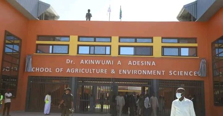 AfDB Ex-President Adesina Honoured by Gambia University