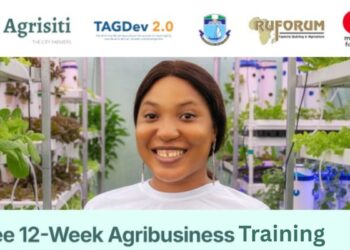 Mastercard Agrisiti Hybrid Digital Training Program for Africans (TAGDev 2.0): How to Apply