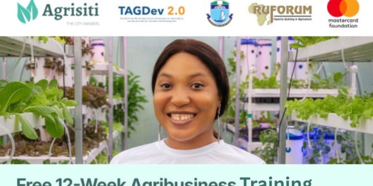 Mastercard Agrisiti Hybrid Digital Training Program for Africans (TAGDev 2.0): How to Apply