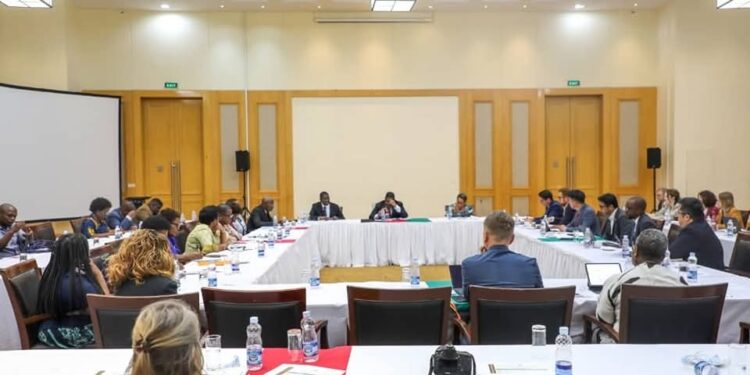 Malawi to Refocus Teaching on Practical Skills, Strong Foundations — Education Minister