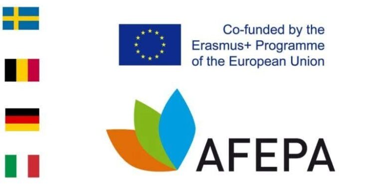 Apply to the AFEPA – European Master’s Scholarship Programme