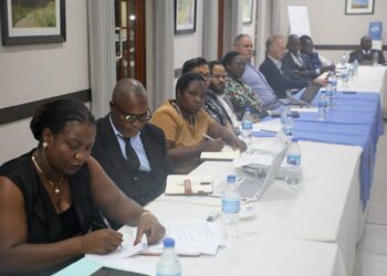 Malawi: Free Secondary Education Transforming Access, But Infrastructure Gaps Persist