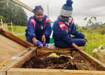 Making Sustainability Real In African Schools
