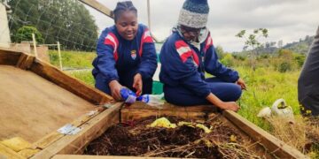 Making Sustainability Real In African Schools