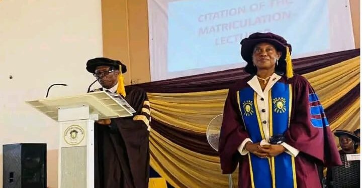 Prof Warns Against ‘School Is a Scam’ Narrative Among Nigerian Youths