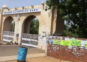 Bayero University Warns Staff Against Letting Animals Roam on Campus