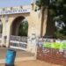 Bayero University Warns Staff Against Letting Animals Roam on Campus