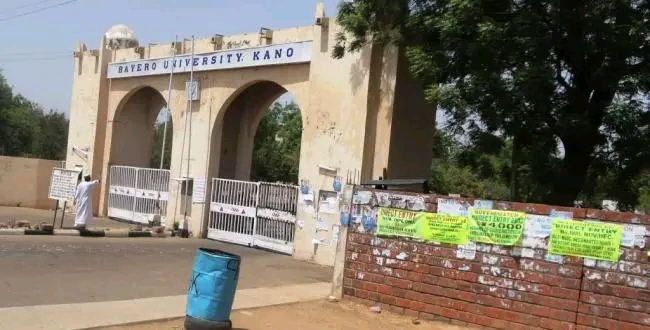 Bayero University Warns Staff Against Letting Animals Roam on Campus