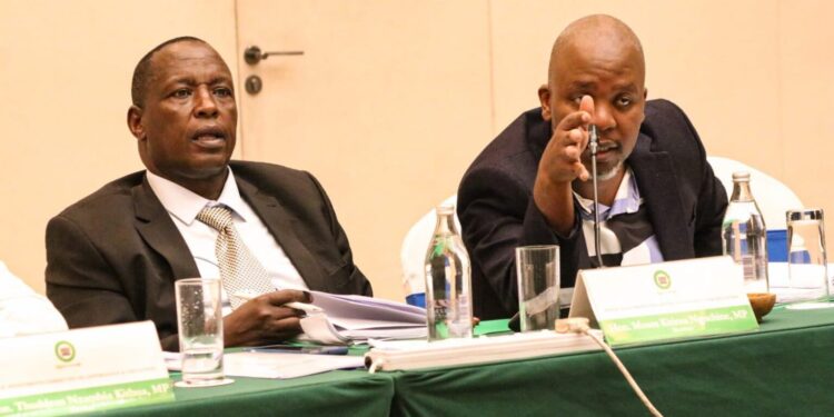 Kenyan Lawmakers Fault Universities, TVETs Over Inclusion and Governance Gaps