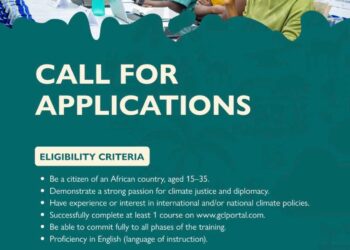 Fellowship: African Youth Negotiators Cohort 5