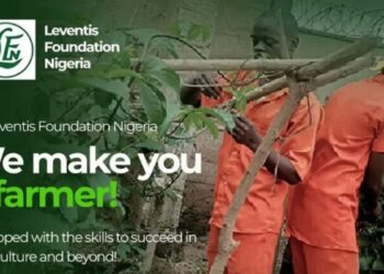 Leventis Foundation Opens Applications for 2026 Graduate Trainee Programme