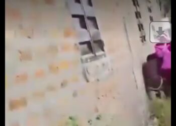 Viral Video: Outrage as Viral Video Shows Students Assaulting Female Peer in Benue