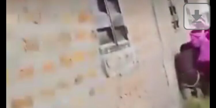 Viral Video: Outrage as Viral Video Shows Students Assaulting Female Peer in Benue