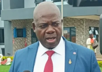 Private Schools Must Teach Zimbabwean History, Local Languages — Moyo