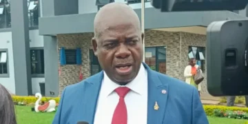 Private Schools Must Teach Zimbabwean History, Local Languages — Moyo