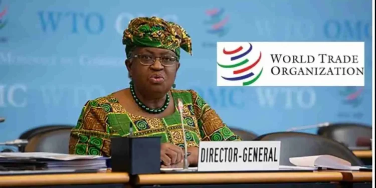 2027 World Trade Organization (WTO) Internship Programme | Step-by-Step Application Guide