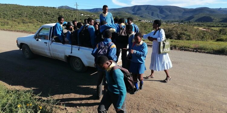 South Africa: Over 80 Eastern Cape Learners Forced to Hitchhike to School Amid Transport Shortage