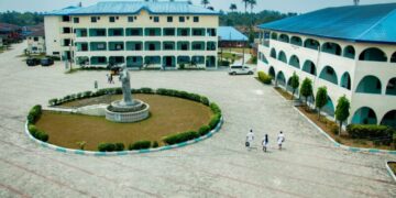 Breaking: Abidemi Olowofela Released from Madonna University Following Public Outcry